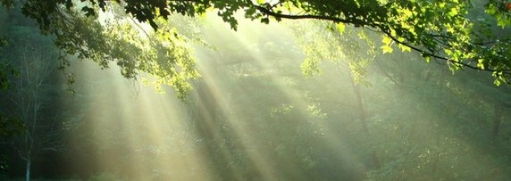 2011 : Indignation émerveillée 2011 : Indignation émerveillée